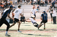 Pony vs Machine Highlights