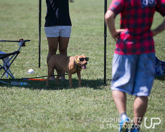 Capital Sectionals 2014 Saturday