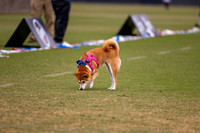 2025 USA Ultimate Club Nationals