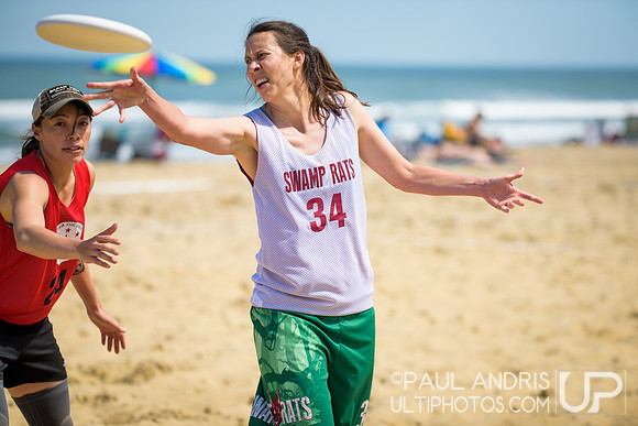 2015 USA Ultimate Beach Ultimate Championships