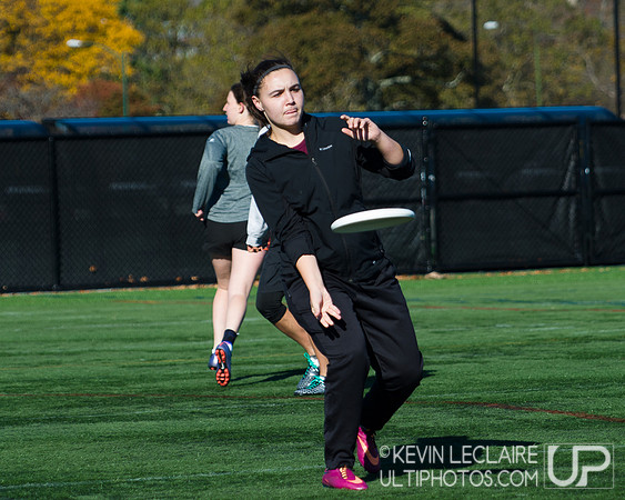 Harvard Ultimate Alumni v. current teams