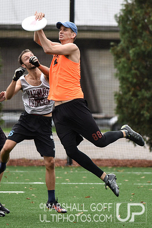 Harvard 40th Ultimate Reunion