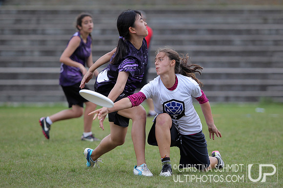 USAU Southern HS Regional Championships 2015 - Sunday