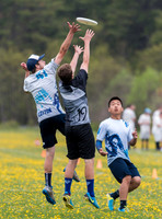 USAU HS Northeasterns 2015