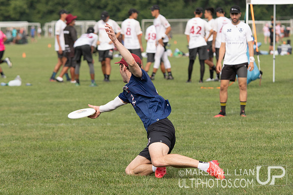 Flying Angels Bern v KFK (Københavns Frisbee Klub)