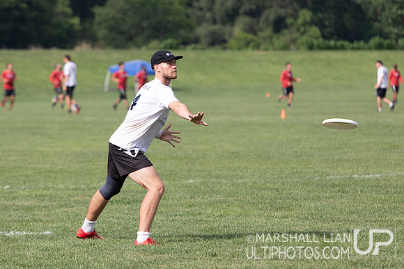 Flying Angels Bern v KFK (Københavns Frisbee Klub)