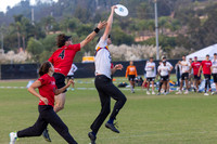 USAU Club National Championships 2025