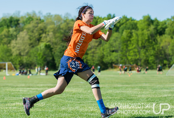 New York High School State Championships 2015