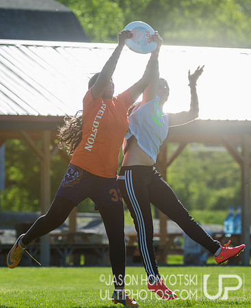 New York High School State Championships 2015