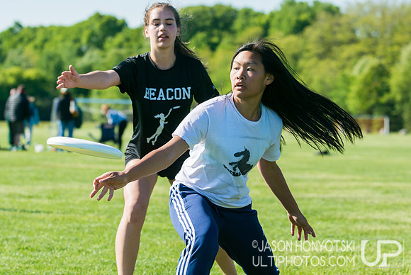 New York High School State Championships 2015