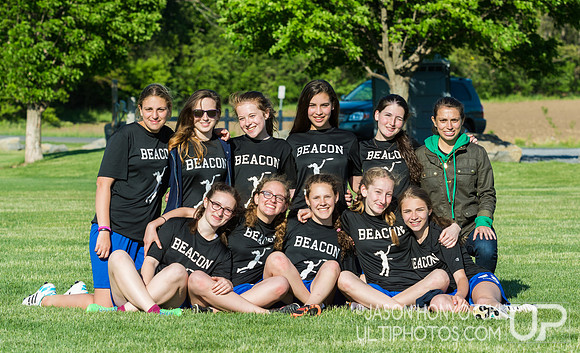 New York High School State Championships 2015