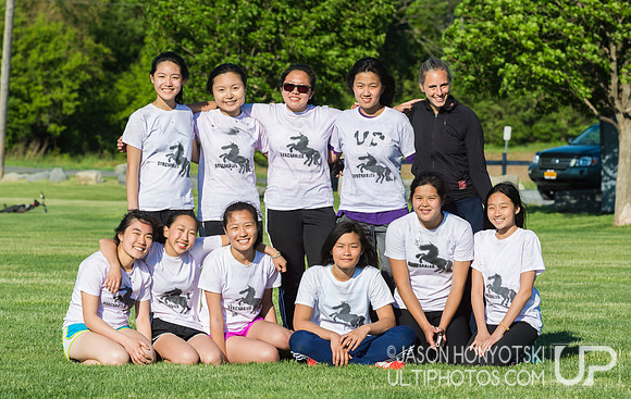New York High School State Championships 2015