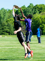 Jason's Saturday Photos - NY HS State Championships 2015