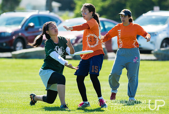 New York High School State Championships 2015