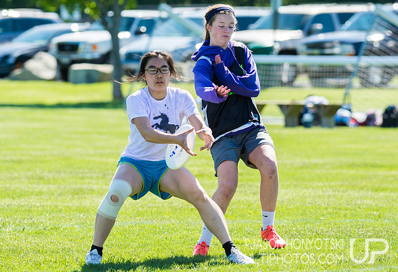 New York High School State Championships 2015