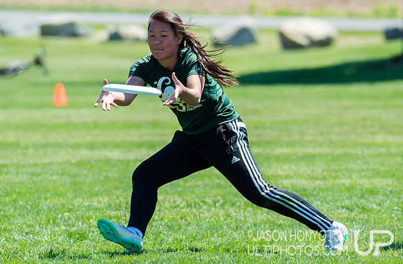 New York High School State Championships 2015