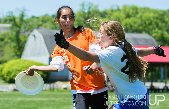 New York High School State Championships 2015