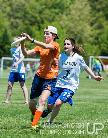 New York High School State Championships 2015