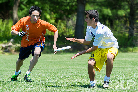 New York High School State Championships 2015