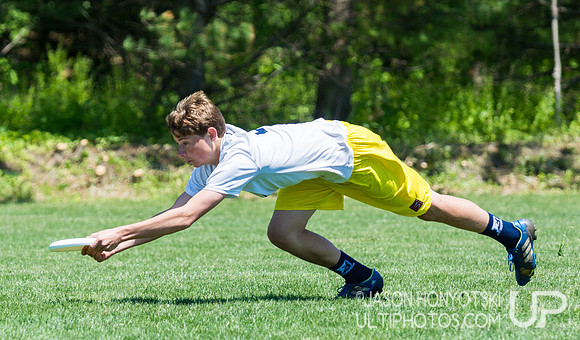New York High School State Championships 2015