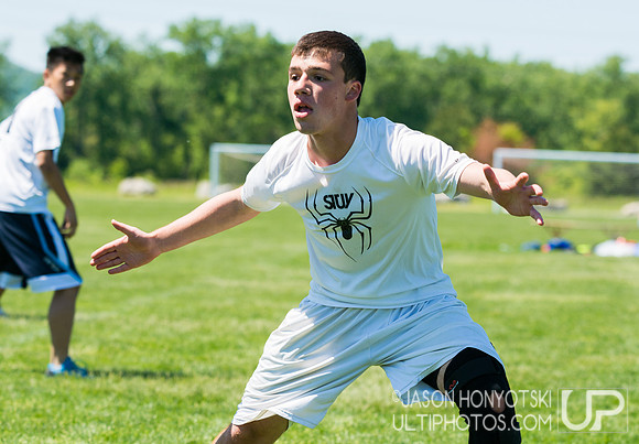 New York High School State Championships 2015