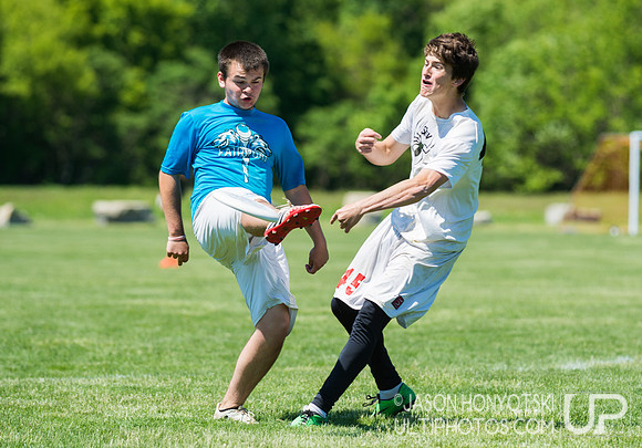 New York High School State Championships 2015