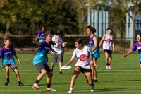 Bay Area Mixed High School Championships
