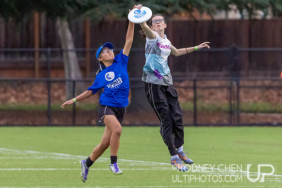 Bay Area Mixed High School Championships