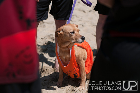 Pool Play - USA Ultimate Beach Championships 2015