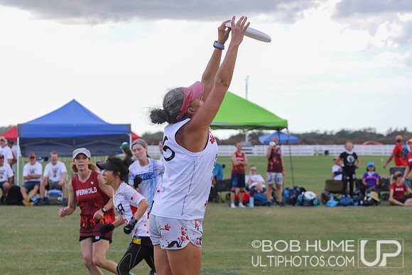 Saturday 2022 Sarasota Sunset presented by Oshadega.