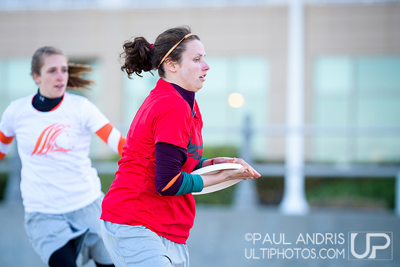 2015 USA Ultimate Beach Ultimate Championships