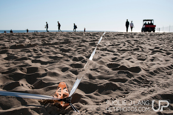Sunday - USA Ultimate Beach Championships 2015