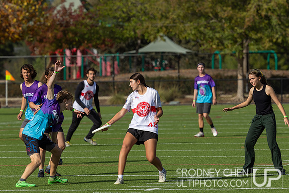 Bay Area Mixed High School Championships