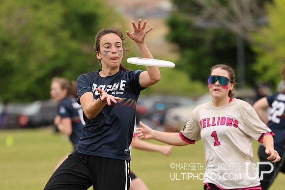 Southwest D1 Regional Championships