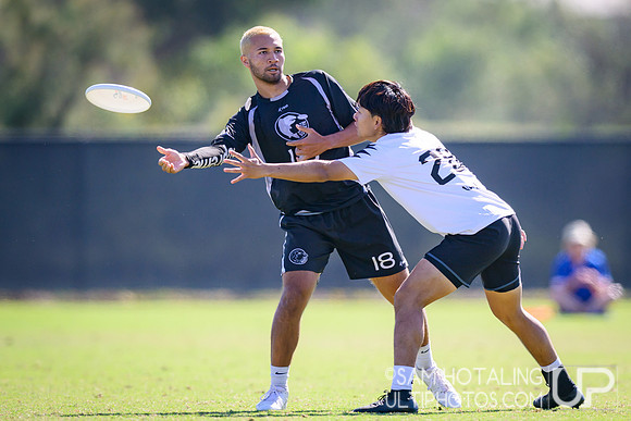 GOAT vs Sockeye at USAU Club Championships, Surf Cup Sports Park