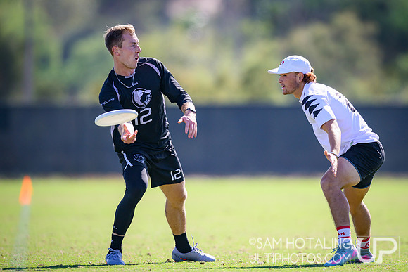 GOAT vs Sockeye at USAU Club Championships, Surf Cup Sports Park