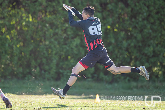 Day 2 of the 2025 WFDF Pan American Ultimate Championships