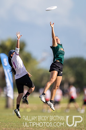 Day 2 of the 2025 WFDF Pan American Ultimate Championships