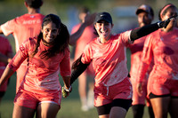 Day 2 of the 2025 WFDF Pan American Ultimate Championships