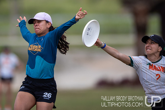Day 5 of the 2025 WFDF Pan American Ultimate Championships