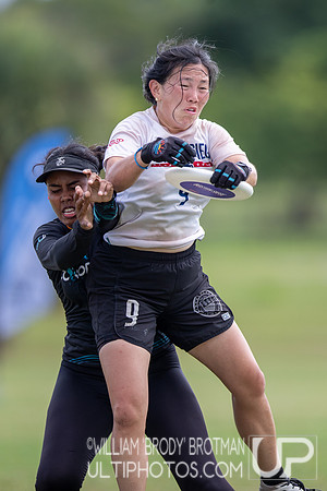 Day 5 of the 2025 WFDF Pan American Ultimate Championships