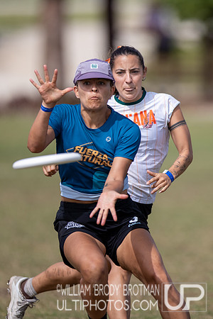 Day 5 of the 2025 WFDF Pan American Ultimate Championships