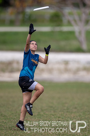 Day 5 of the 2025 WFDF Pan American Ultimate Championships
