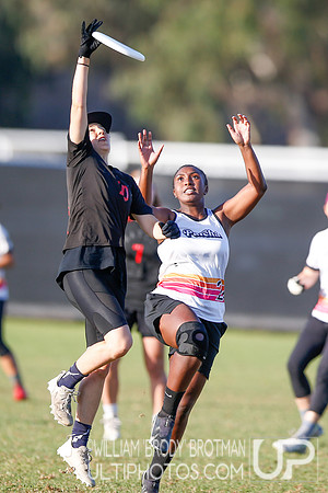 Day 2 of USA Ultimate National Championships.