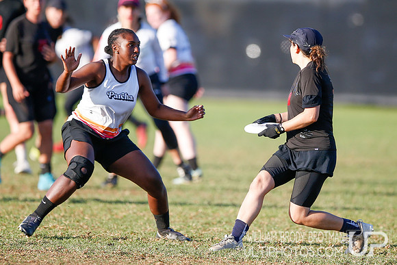 Day 2 of USA Ultimate National Championships.