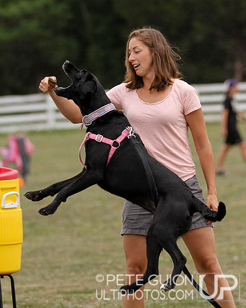 Chesapeake Open