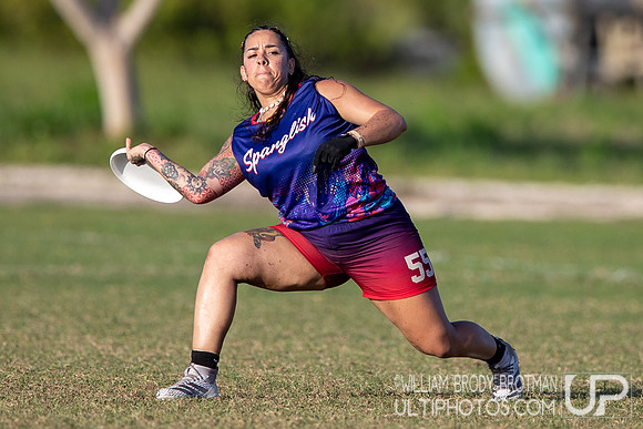 Day 5 at the 2025 WFDF Pan American Ultimate Championships