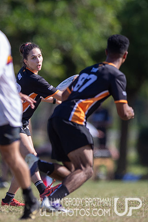 Day 5 at the 2025 WFDF Pan American Ultimate Championships
