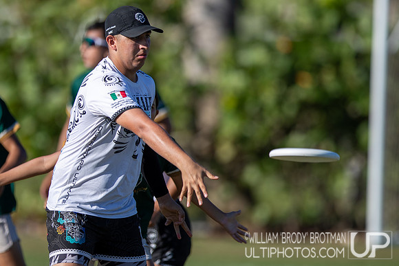 Day 4 at the 2025 WFDF Pan American Ultimate Championships