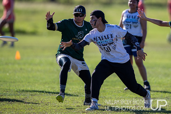 Day 4 at the 2025 WFDF Pan American Ultimate Championships